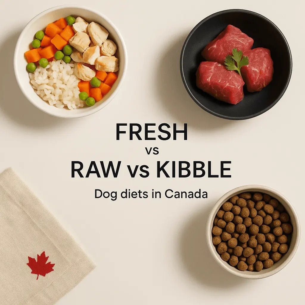 'Fresh' vs. 'Raw' vs. 'Kibble': Decoding Modern Dog Diets in Canada