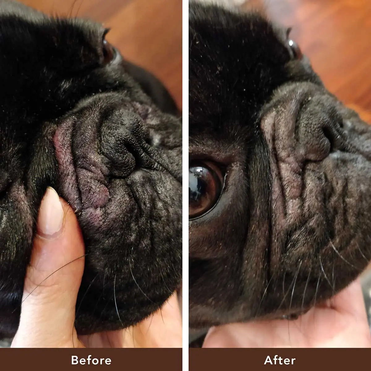 Natural Ways to Care for Your Dog's Wrinkles Effectively: Dog Wrinkle Care Tips - Natural Dog Company