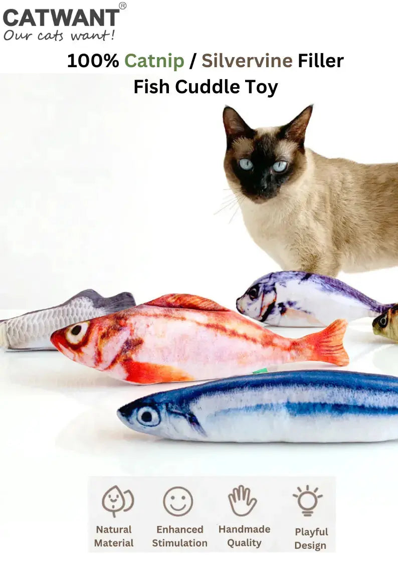 Cat enrichment toys including catnip and silvervine toys at PAWMART