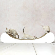 Cat scratchers, scratching pads, and cat furniture at PAWMART