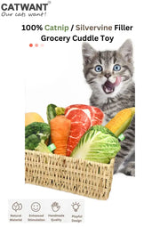 A tabby kitten beside a basket of plush vegetable and steak shaped catnip toys, on a Catwant product graphic