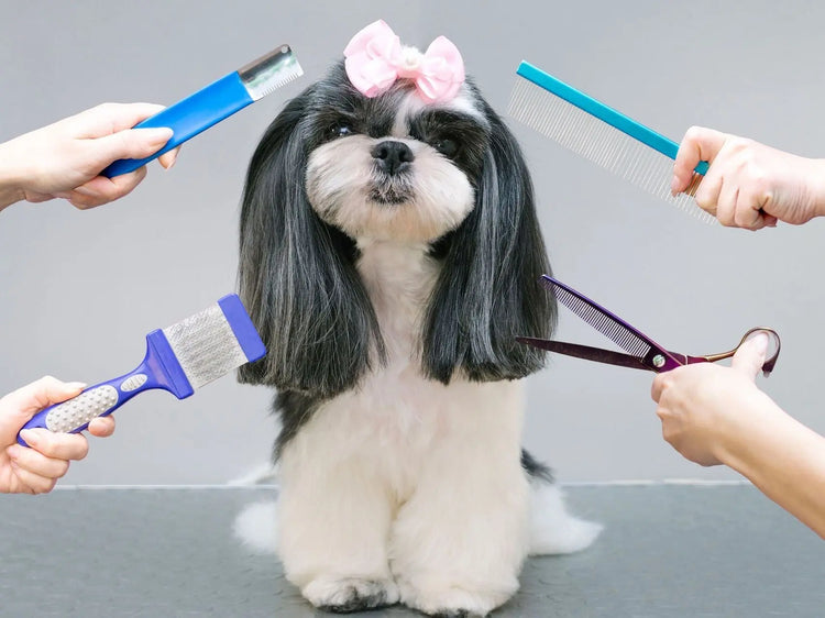 Grooming Packages - PAWMART Pet Store & Grooming In Toronto