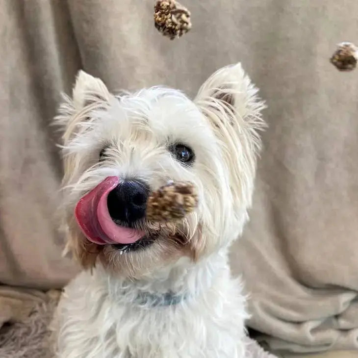 Dog and cat treats available from PAWMART across Canada