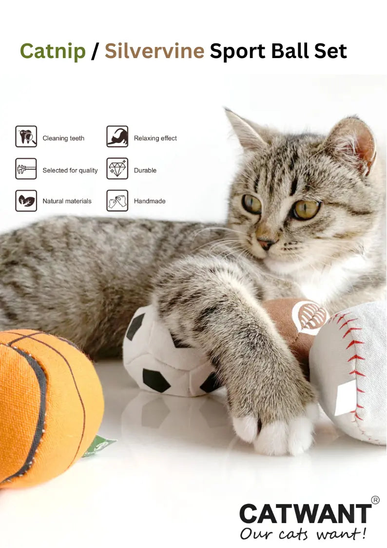 100% Silvervine/Catnip Filled Sport Ball Set - 4-Pack CATWANT