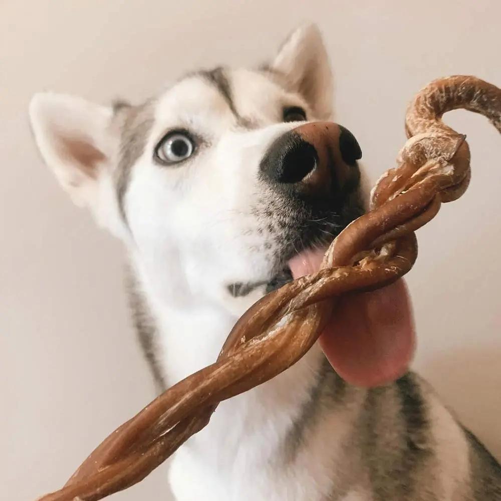 11"+ Braided Lamb Pizzle Stick Only One Treats