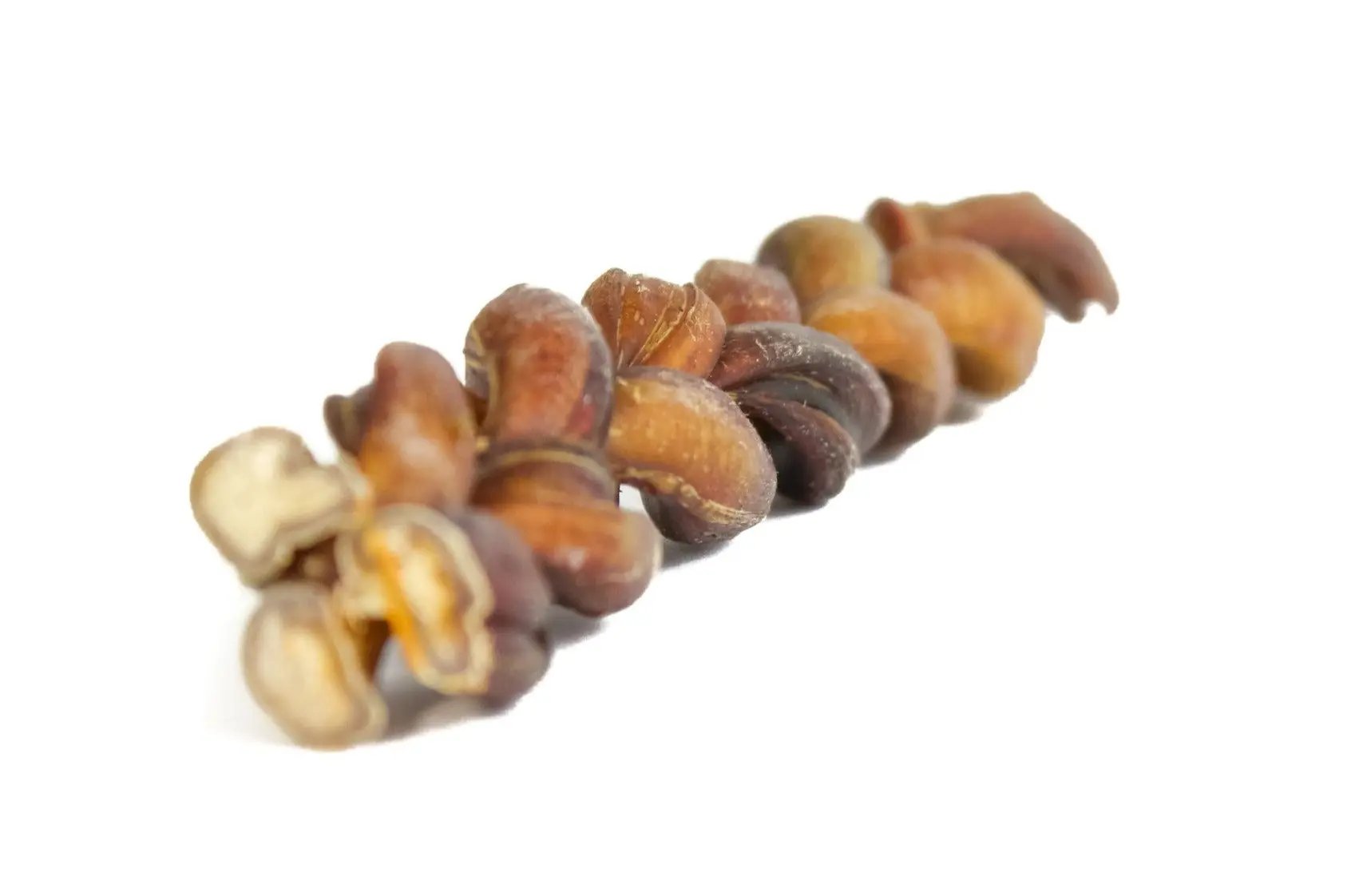 12" Braided Bully Stick Only One Treats