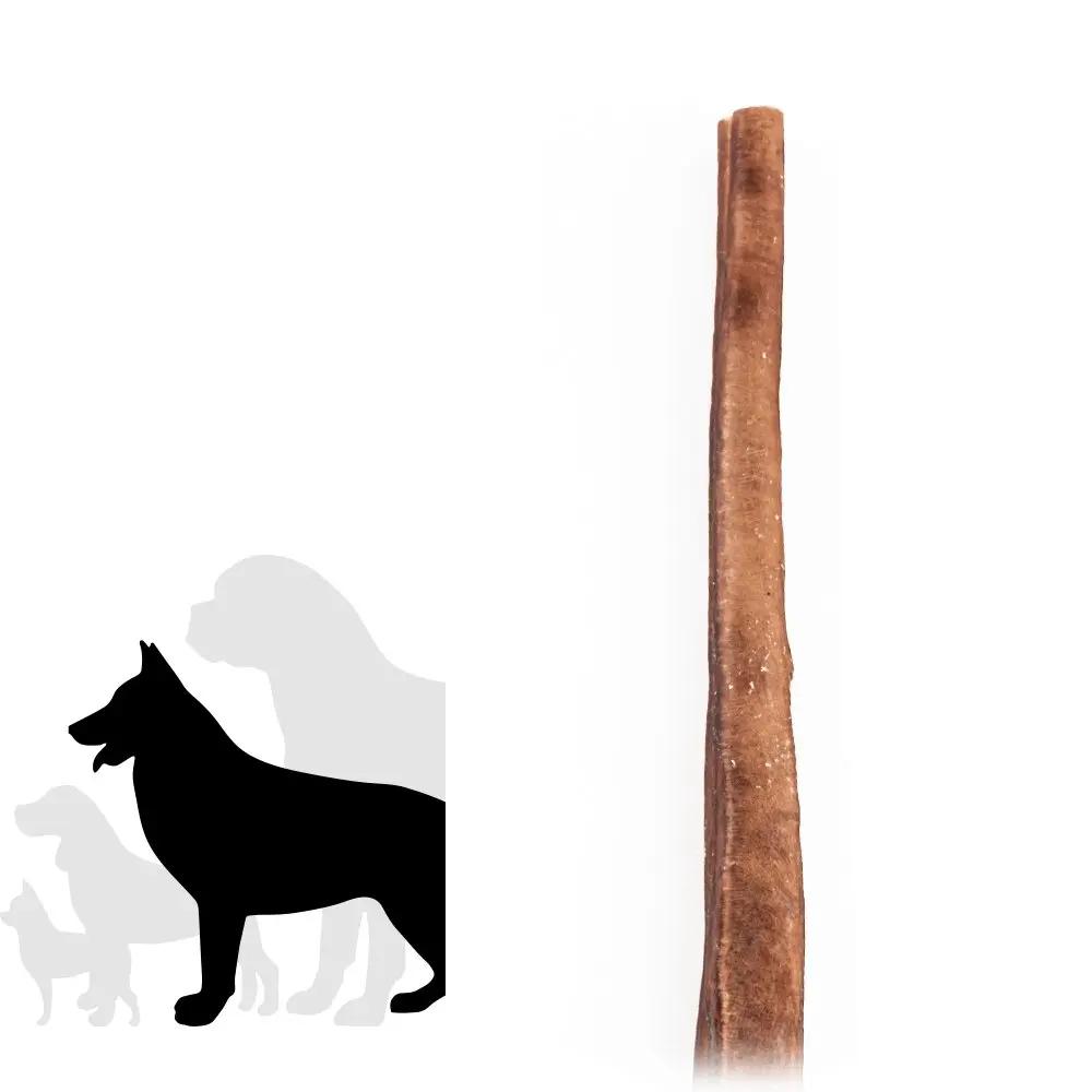12" Jumbo Bully Stick Only One Treats
