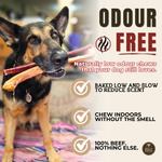 12 Inch Jumbo Bully Stick Dog Chews, product photo 6 of 9