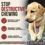 12 Inch Jumbo Bully Stick Dog Chews, product photo 4 of 9