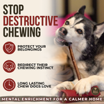 12 Inch Standard Bully Stick Dog Chews, product photo 4 of 9