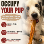 12 Inch Thick Bully Stick Dog Chews, product photo 2 of 9