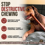12 Inch Thick Bully Stick Dog Chews, product photo 4 of 9