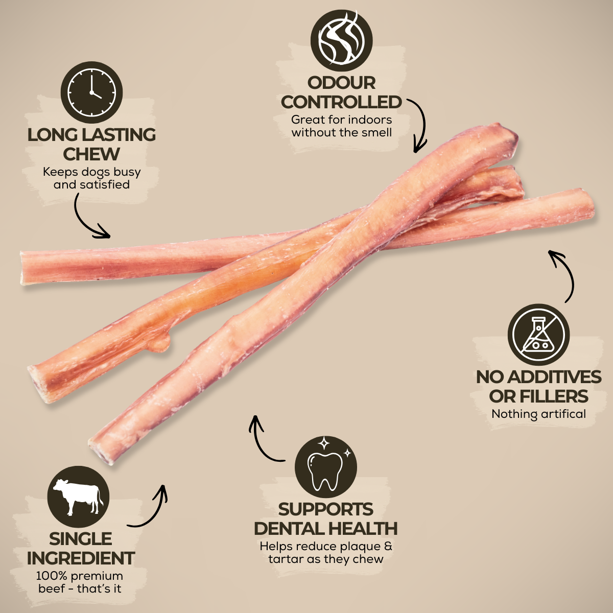 12 Inch Standard Bully Stick Dog Chews, product photo 3 of 9