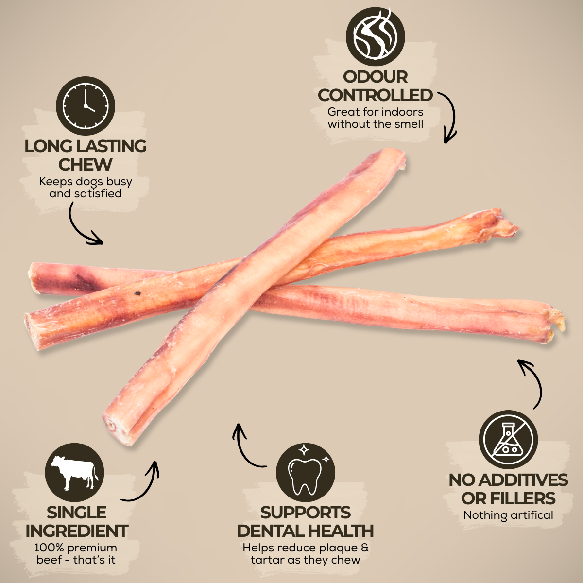 12 Inch Thick Bully Stick Dog Chews, product photo 3 of 9
