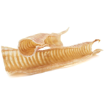 12 Inch Beef Trachea Dog Chews, product photo 5 of 6