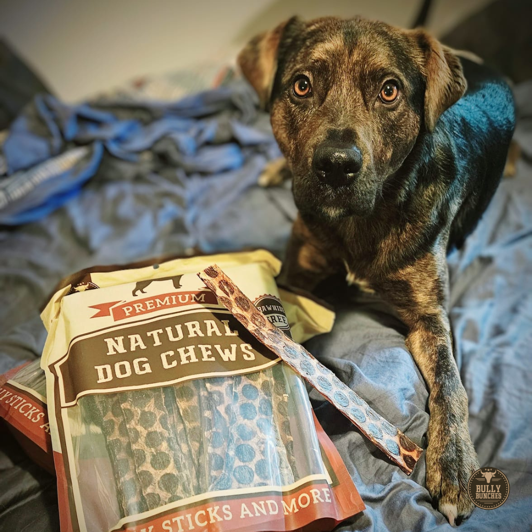 12 Inch Beef Jerky Strip Dog Treats