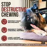 12 Inch Thick Braided Bully Stick Dog Chews, product photo 6 of 9