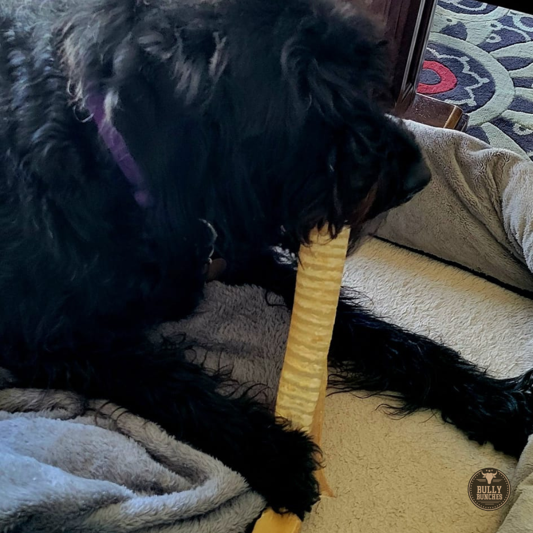 12 Inch Beef Trachea Dog Chews, product photo 6 of 6
