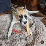 12 Inch Beef Trachea Dog Chews, product photo 4 of 6