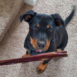 12 Inch Beef Jerky Stick Dog Treats, product photo 2 of 7