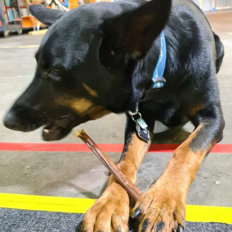 12 Inch Beef Jerky Stick Dog Treats, product photo 3 of 7
