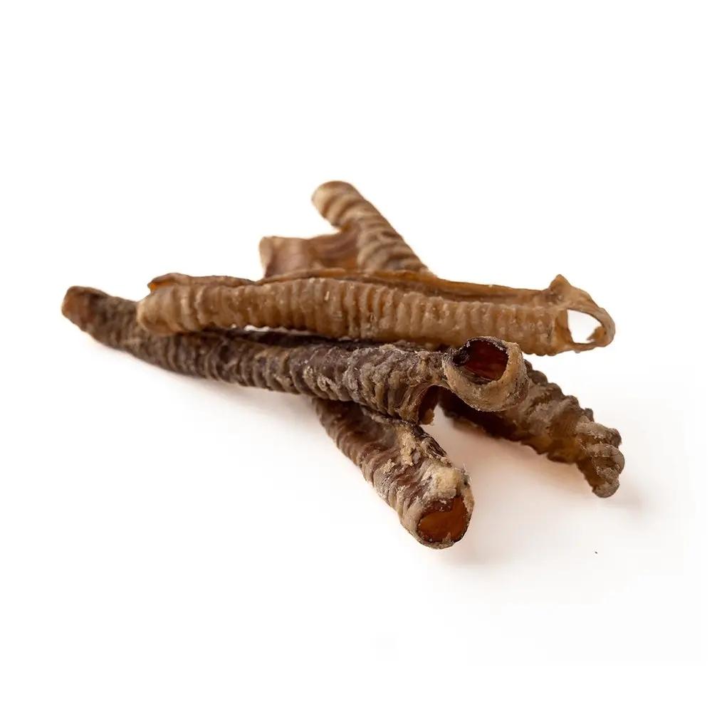 5-7" Lamb Trachea Only One Treats