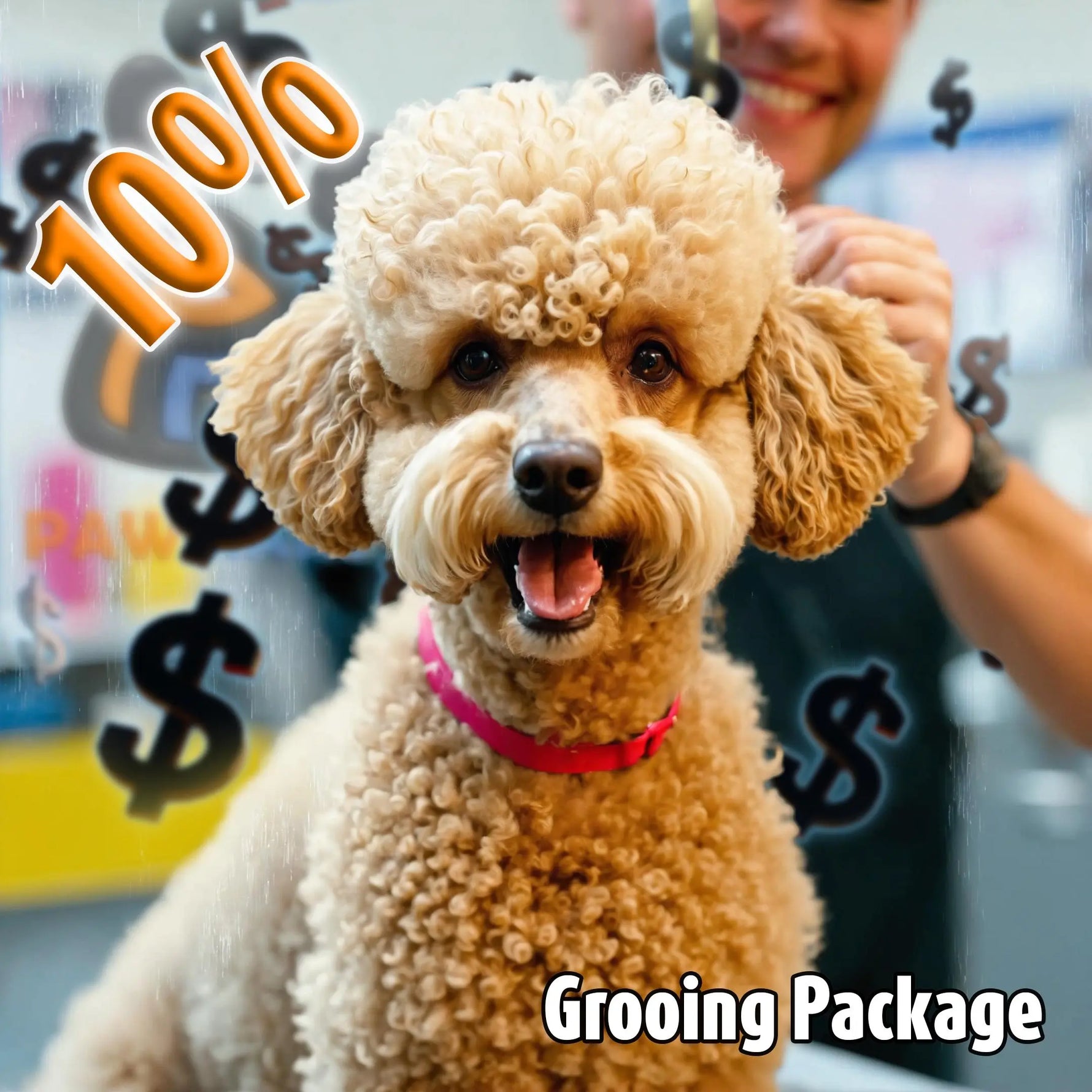 5 Full Grooming Package - #2 - Small (8 Lb. to 22 Lb.) - With a 10% Discount PAWMART.ca