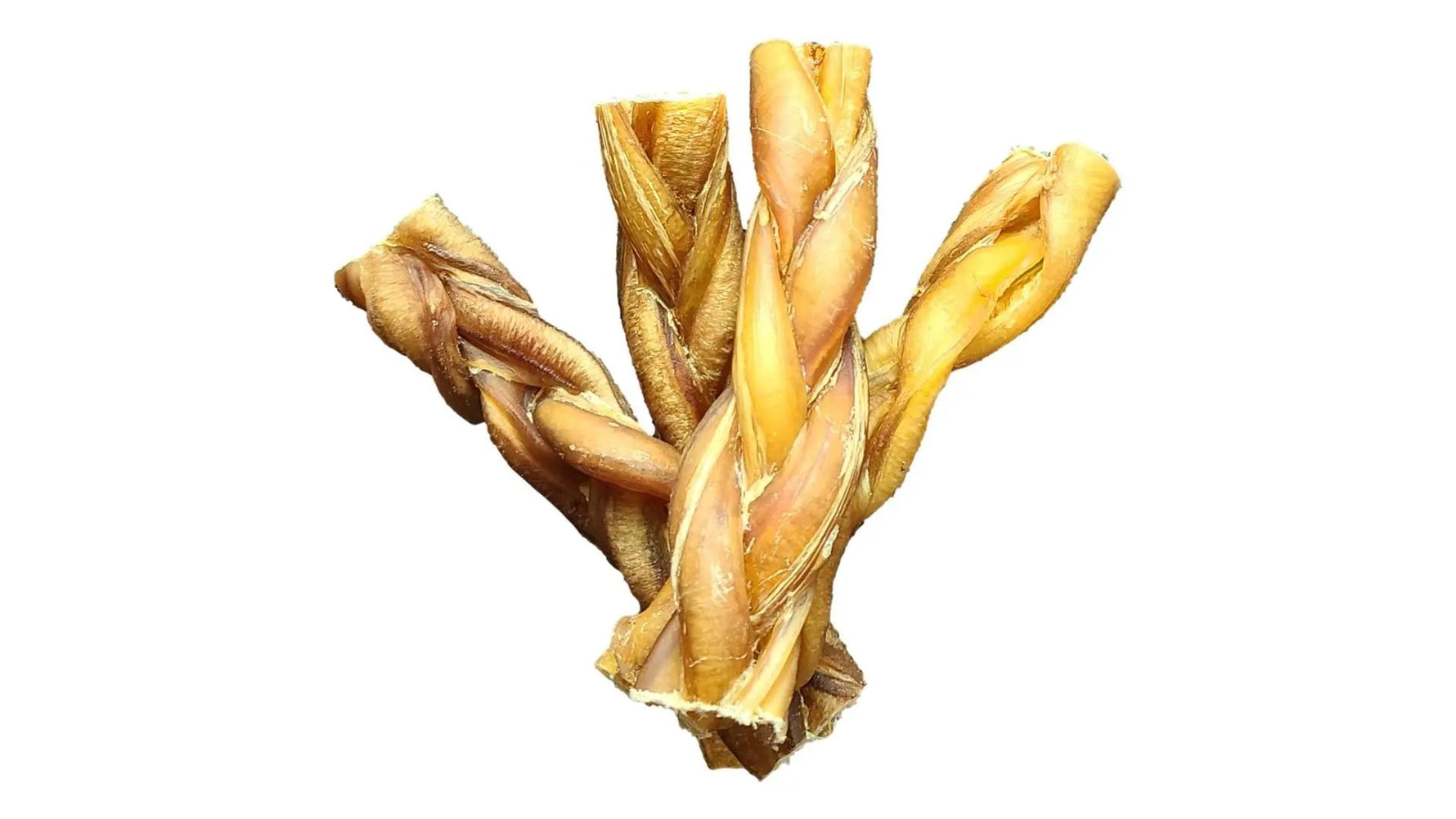 6" Braided Bully Stick Only One Treats