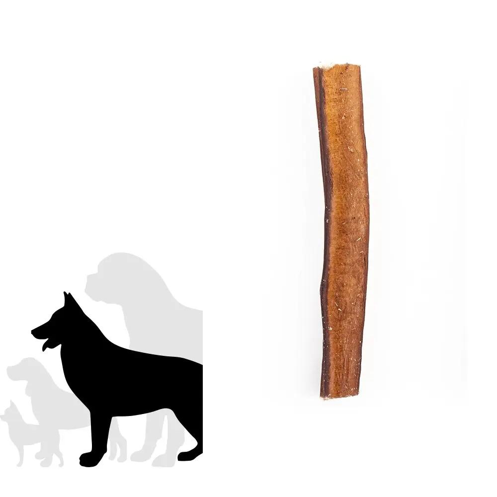 6" Jumbo Bully Stick Only One Treats