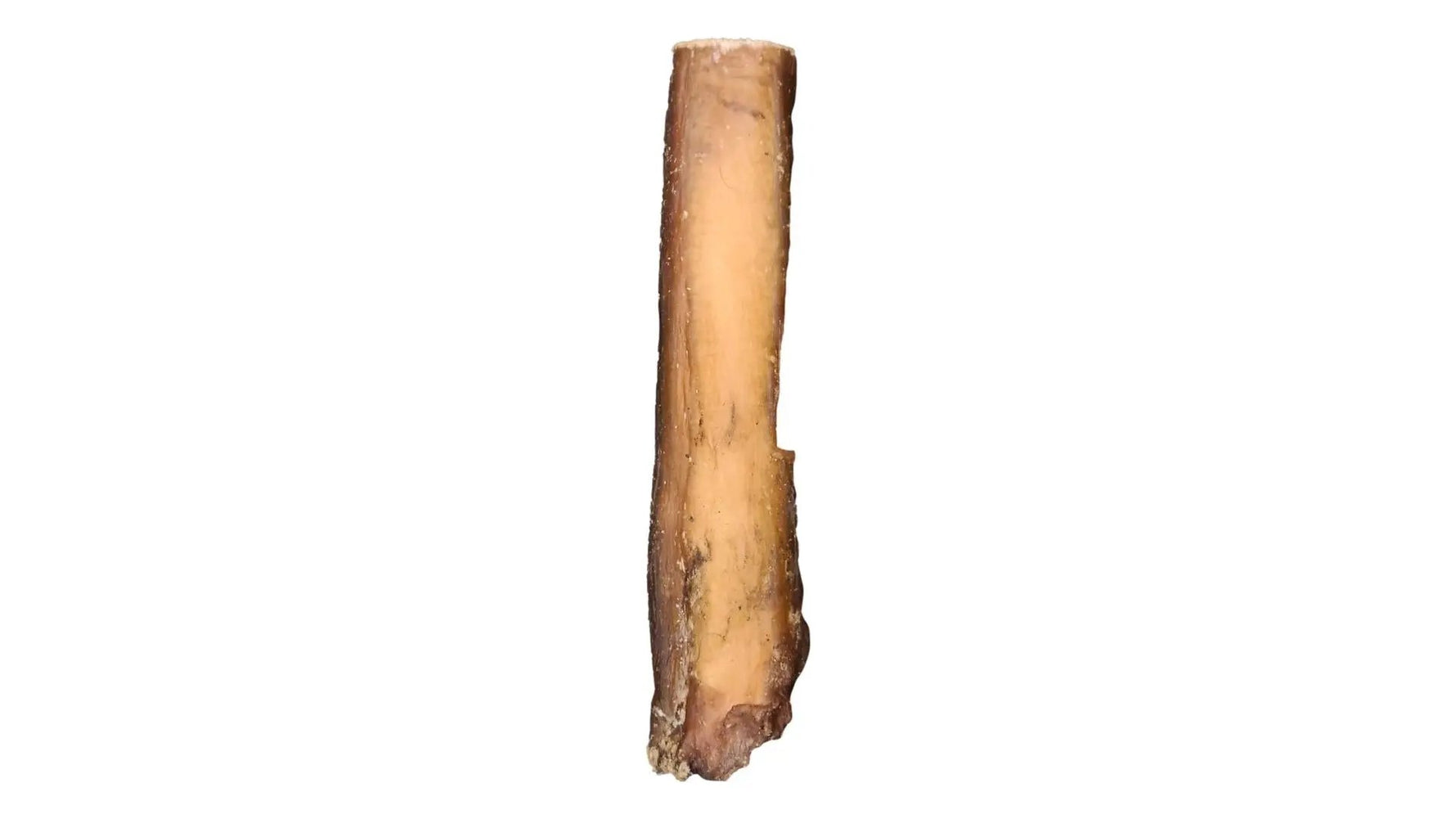 6" Monster Bully Stick Only One Treats