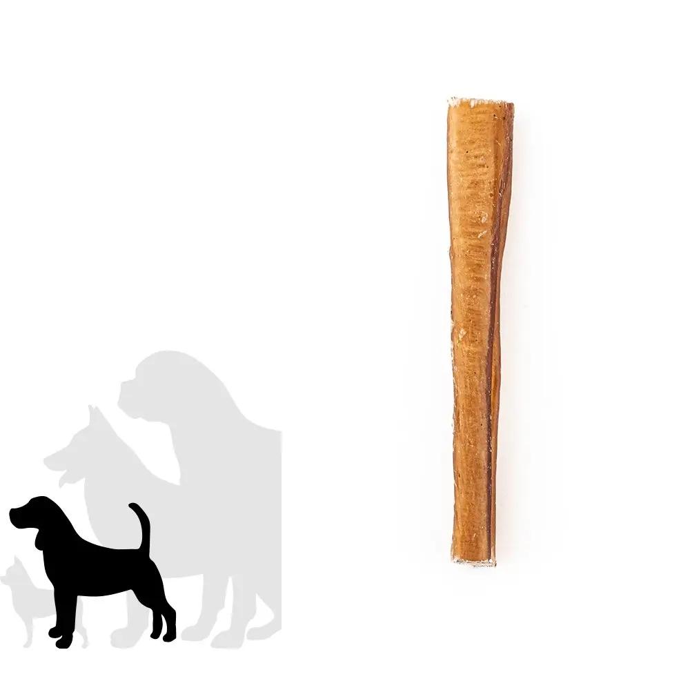 6" Standard Bully Stick Only One Treats