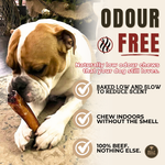 6 Inch Monster Bully Stick Dog Chews, product photo 4 of 9