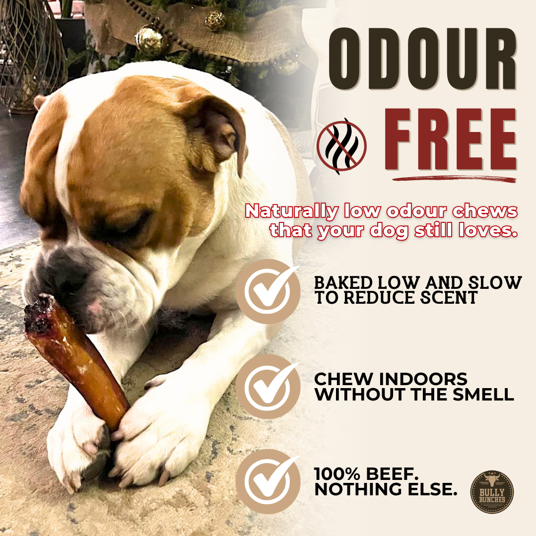6 Inch Monster Bully Stick Dog Chews, product photo 4 of 9
