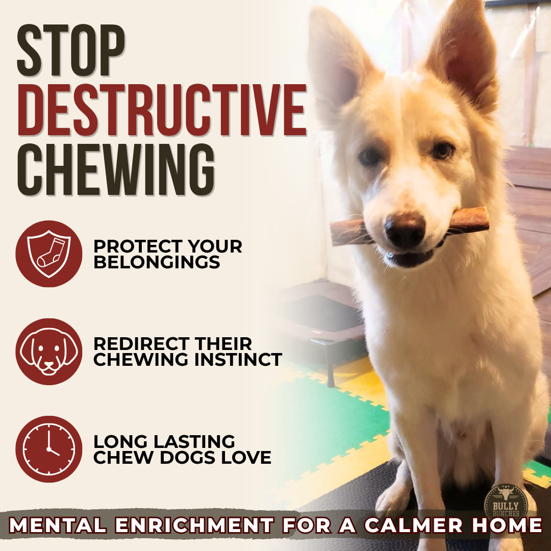 6 Inch Monster Bully Stick Dog Chews, product photo 6 of 9