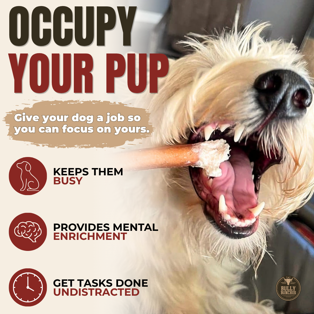 6 Inch Standard Bully Stick Dog Chews, product photo 2 of 9