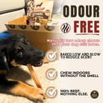 6 Inch Thick Bully Stick Dog Chews, product photo 6 of 9