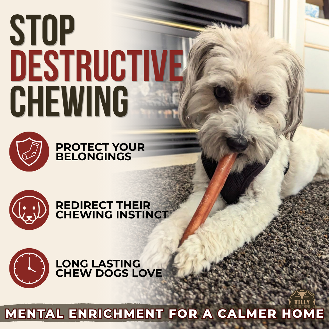 6 Inch Thick Bully Stick Dog Chews, product photo 4 of 9