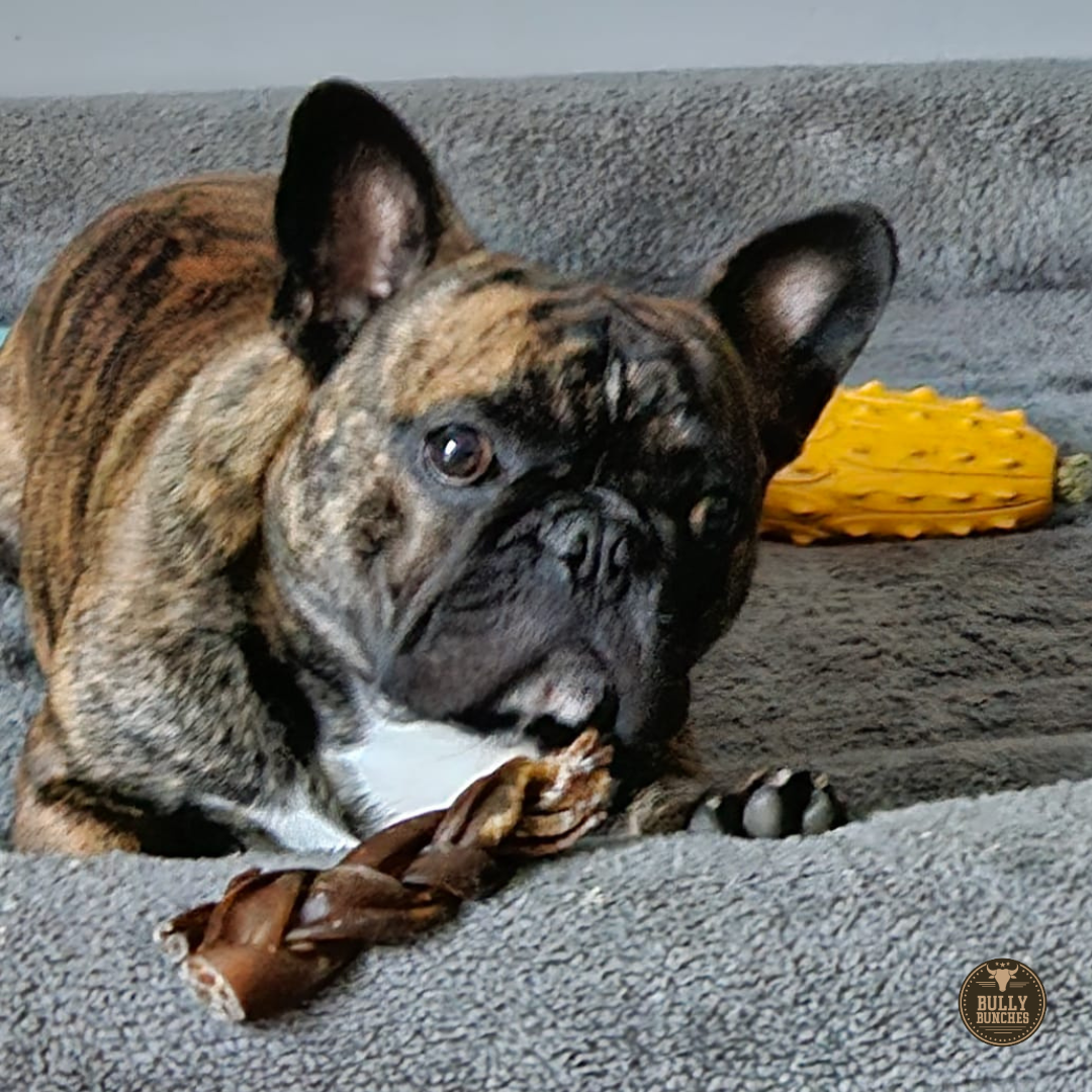 5-6 Inch Braided Collagen Stick Dog Chews, product photo 2 of 10