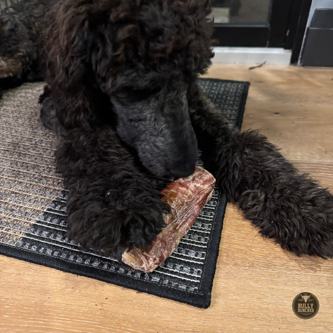 6 Inch Trachea Wrapped in Jerky Dog Chews, product photo 2 of 6
