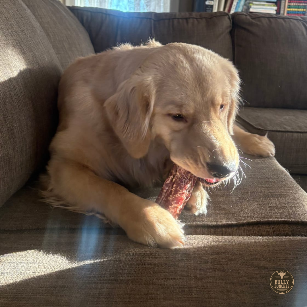 6 Inch Trachea Wrapped in Jerky Dog Chews, product photo 6 of 6
