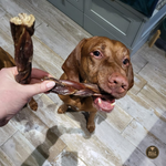 6 Inch Braided Jerky Stick Dog Treats, product photo 4 of 6
