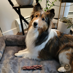 6 Inch Braided Jerky Stick Dog Treats, product photo 6 of 6