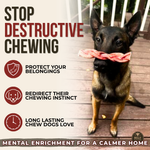 6 Inch Monster Braided Bully Stick Dog Chews, product photo 6 of 9