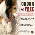 6 Inch Thick Braided Bully Stick Dog Chews, product photo 6 of 9