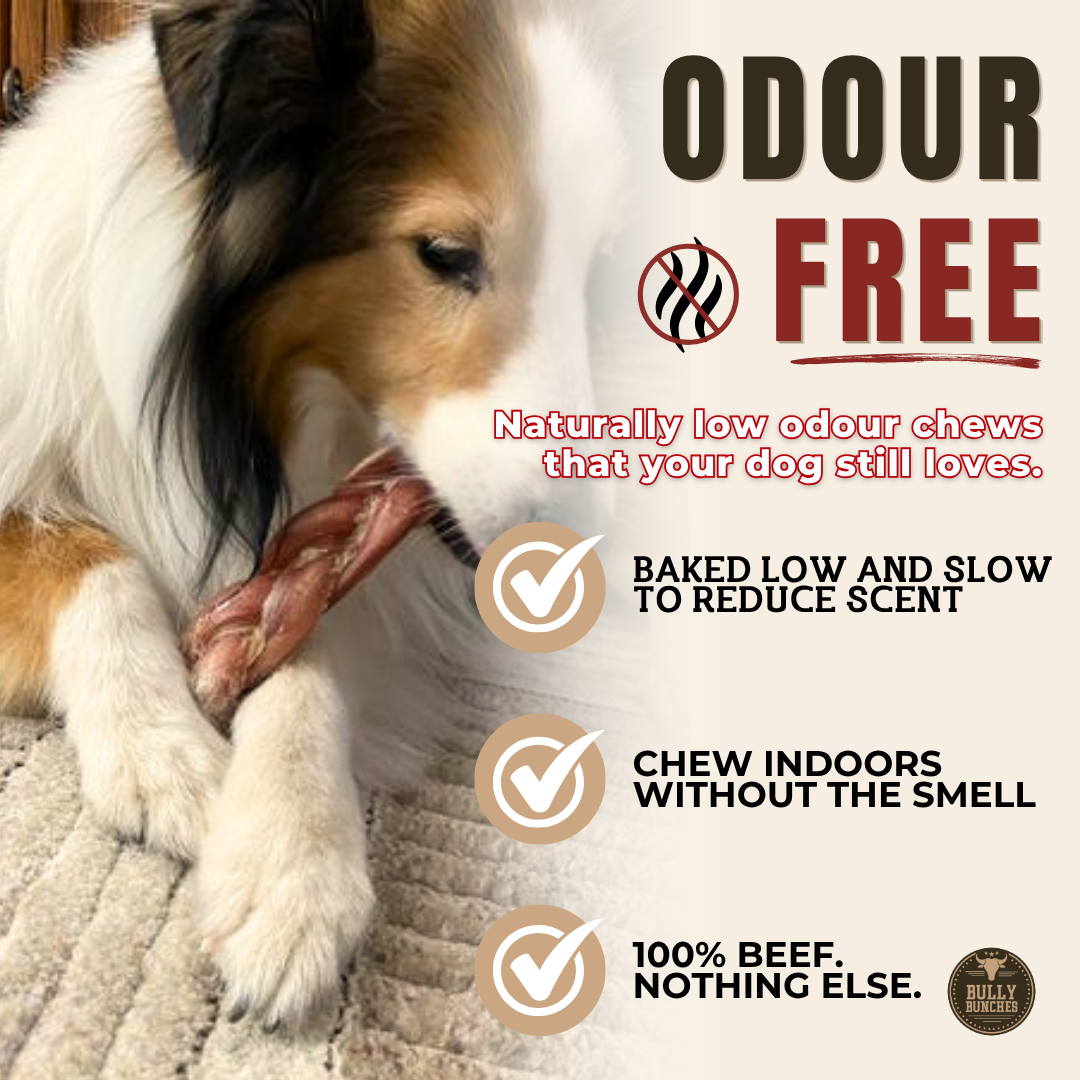 6 Inch Thick Braided Bully Stick Dog Chews, product photo 6 of 9