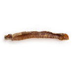 7"+ Lamb Trachea Only One Treats