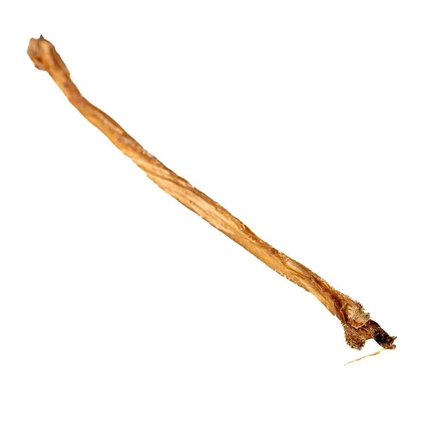 9-14" Lamb Pizzle Stick Single Only One Treats