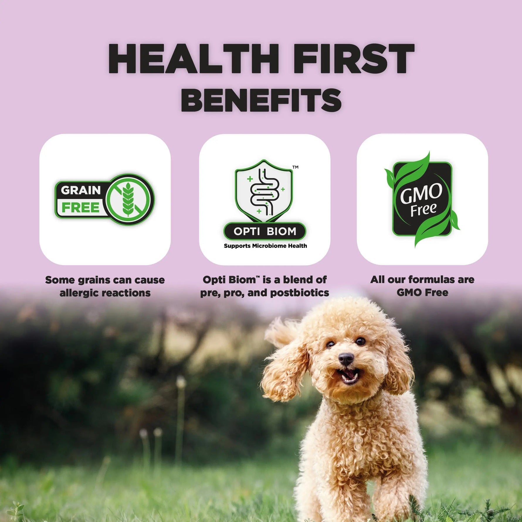 Adult, Dog Food for Toy & Small Breeds, (1-10 Years) With SRT™ Nature’s HUG™ Pet Food Inc.