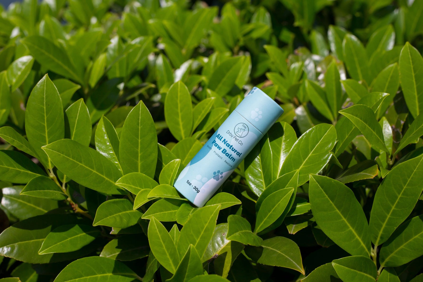 All Natural Paw Balm Drby Pet Co.