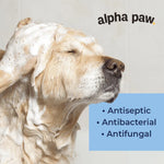 Alpha Paw - Antibacterial & Antifungal Medicated Shampoo - For Cats and Dogs - PAWMART.ca